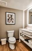 Туры в отель Four Points by Sheraton Vaughan