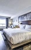Туры в отель Four Points by Sheraton Vaughan