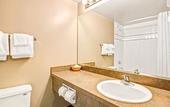 Туры в отель Four Points by Sheraton Vaughan