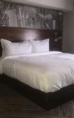 Туры в отель Four Points by Sheraton Vaughan