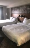 Туры в отель Four Points by Sheraton Vaughan