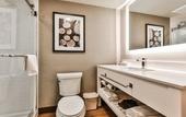 Туры в отель Four Points by Sheraton Vaughan