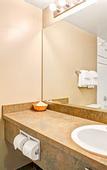 Туры в отель Four Points by Sheraton Vaughan