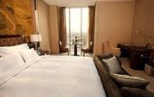Туры в отель Palace Garden Hotel
