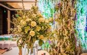 Туры в отель Palace Garden Hotel