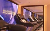 Туры в отель Palace Garden Hotel
