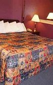 Туры в отель OK Hotel