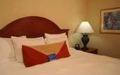 Туры в отель Hilton Garden Inn Oklahoma City Airport
