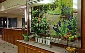Туры в отель Hilton Garden Inn Oklahoma City Airport