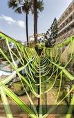 Туры в отель The Resort Mumbai