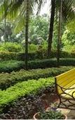 Туры в отель The Resort Mumbai
