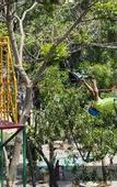 Туры в отель The Resort Mumbai