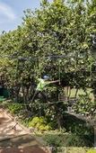 Туры в отель The Resort Mumbai