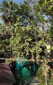 Туры в отель The Resort Mumbai