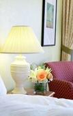 Туры в отель Hotel Satkar Residency