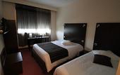 Туры в отель Adonis Lyon Est Hotel Artys