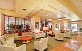 Туры в отель NCED Conference Center & Hotel