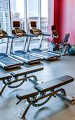 Туры в отель Cambria Hotel & Suites - White Plains Downtown