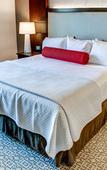 Туры в отель Cambria Hotel & Suites - White Plains Downtown
