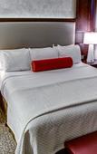 Туры в отель Cambria Hotel & Suites - White Plains Downtown