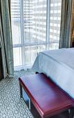 Туры в отель Cambria Hotel & Suites - White Plains Downtown