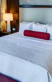 Туры в отель Cambria Hotel & Suites - White Plains Downtown
