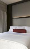 Туры в отель Cambria Hotel & Suites - White Plains Downtown