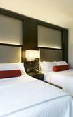 Туры в отель Cambria Hotel & Suites - White Plains Downtown