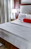 Туры в отель Cambria Hotel & Suites - White Plains Downtown