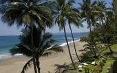 Туры в отель Tango Mar Beachfront Boutique Hotel & Villas