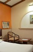 Туры в отель Hotel Park View Mumbai