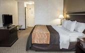 Туры в отель Quality Inn Seekonk - Providence