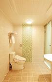 Туры в отель Venezia Tourist Hotel
