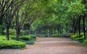 Туры в отель Mission Hills Resort Shenzhen