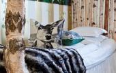 Туры в отель Bomans Hotell i Trosa