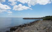 Туры в отель Holiday Inn South Kingstown (Newport Area) by IHG