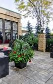 Туры в отель Hilton Garden Inn Toronto/Markham