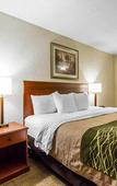 Туры в отель The Inn & Suites Omaha Near Zoo