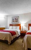 Туры в отель The Inn & Suites Omaha Near Zoo