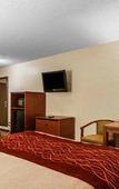Туры в отель The Inn & Suites Omaha Near Zoo