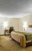 Туры в отель The Inn & Suites Omaha Near Zoo