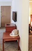 Туры в отель The Inn & Suites Omaha Near Zoo