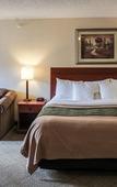 Туры в отель The Inn & Suites Omaha Near Zoo