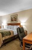 Туры в отель The Inn & Suites Omaha Near Zoo