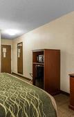 Туры в отель The Inn & Suites Omaha Near Zoo