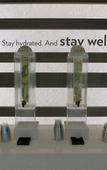 Туры в отель EVEN Hotel Norwalk by IHG