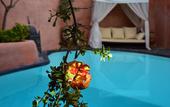 Туры в отель Ducato Wine Village