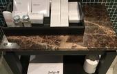Туры в отель Radisson Blu Hotel Noida