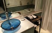 Туры в отель Radisson Blu Hotel Noida