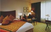 Туры в отель Radisson Blu Hotel Noida